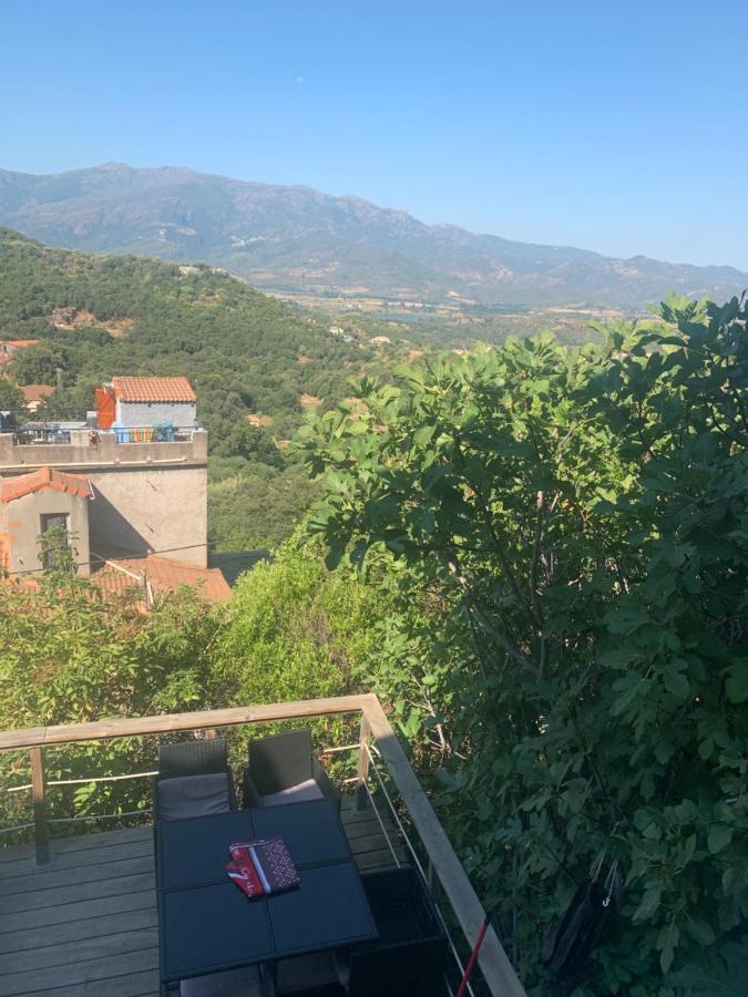 Maison Typique Corse Oletta  Exterior photo